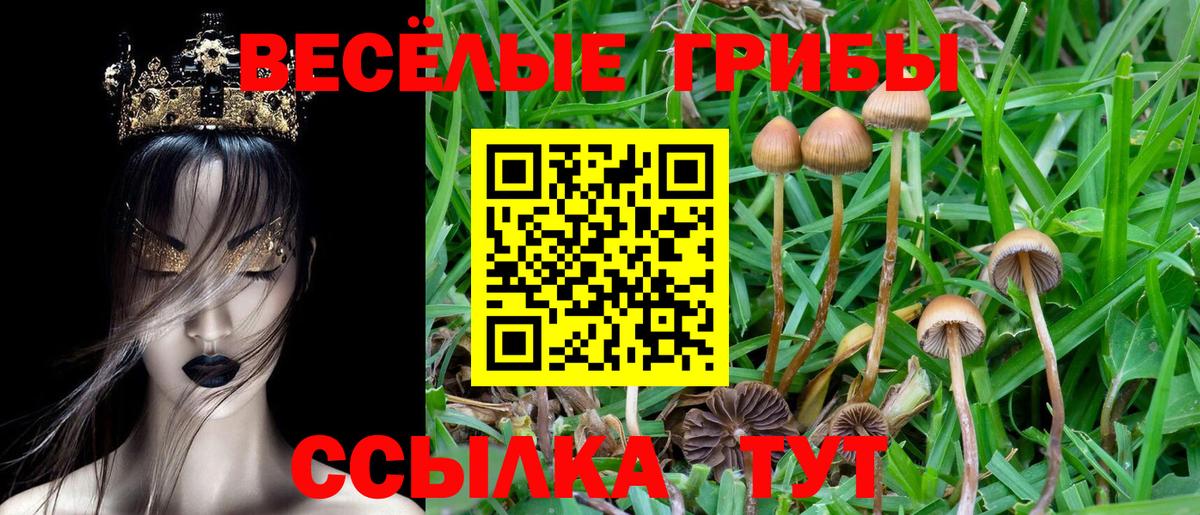 Псилоцибиновые грибы мицелий  как найти закладки  Чистополь  Вход с VPN 